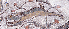 Mosaico de Adonis.